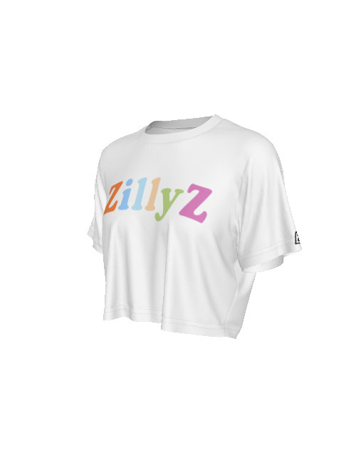 Color block Cropped T-Shirt