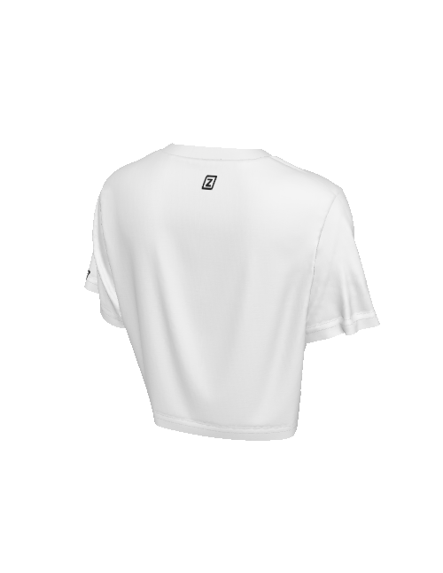 Color block Cropped T-Shirt