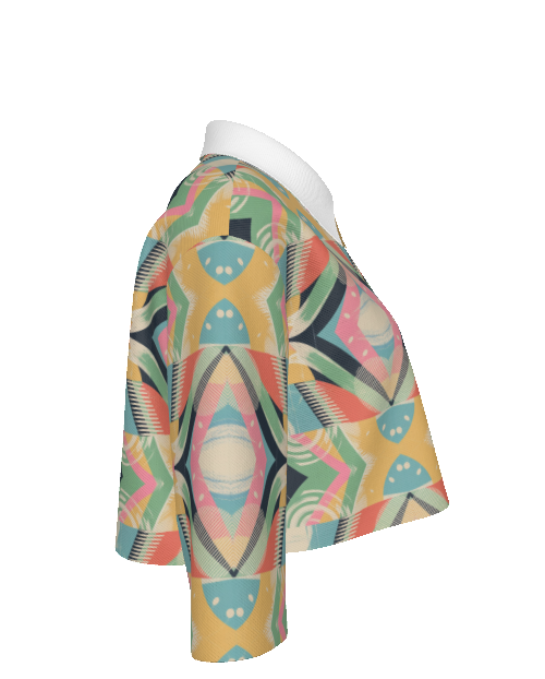 Zillyz Prism Cropped Jacket