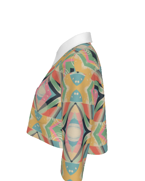 Zillyz Prism Cropped Jacket